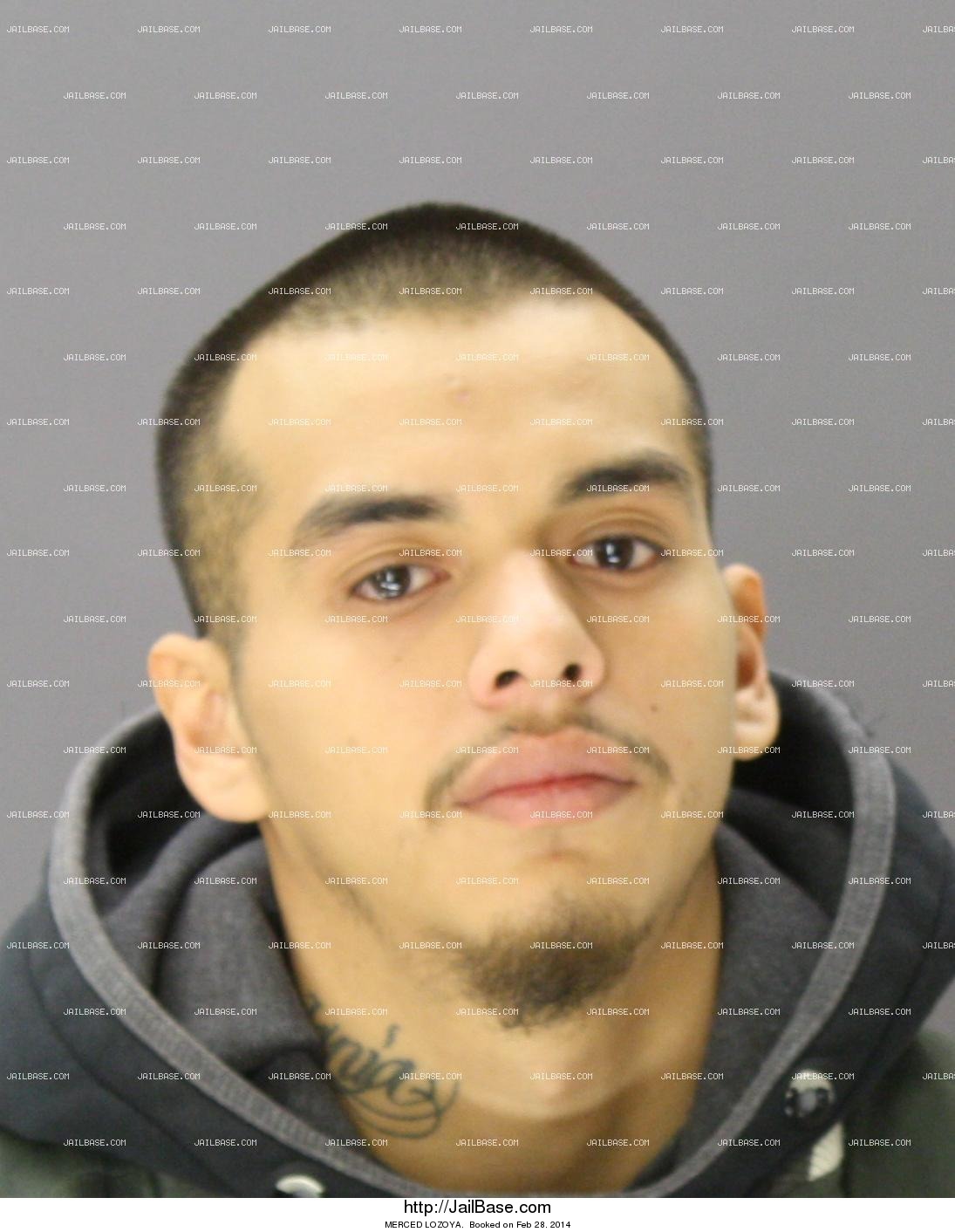 MERCED LOZOYA | Jailed on Feb. 28, 2014 | JailBase