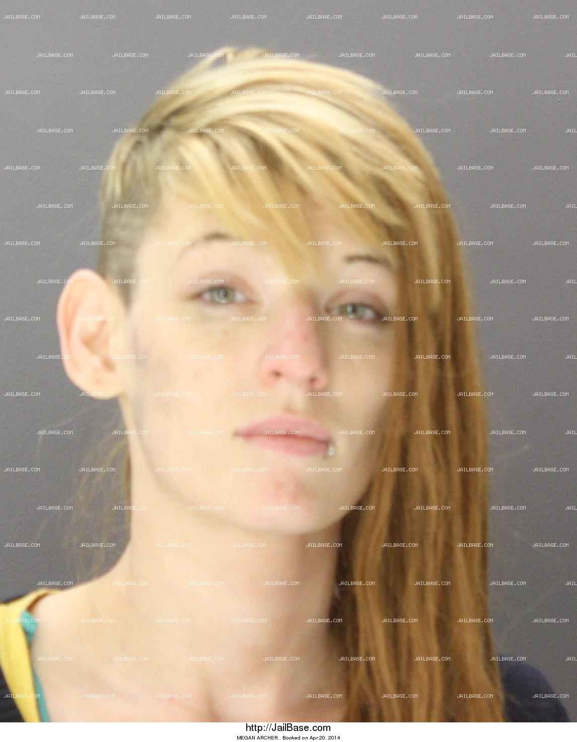 MEGAN ARCHER | Jailed on April 20, 2014 | JailBase