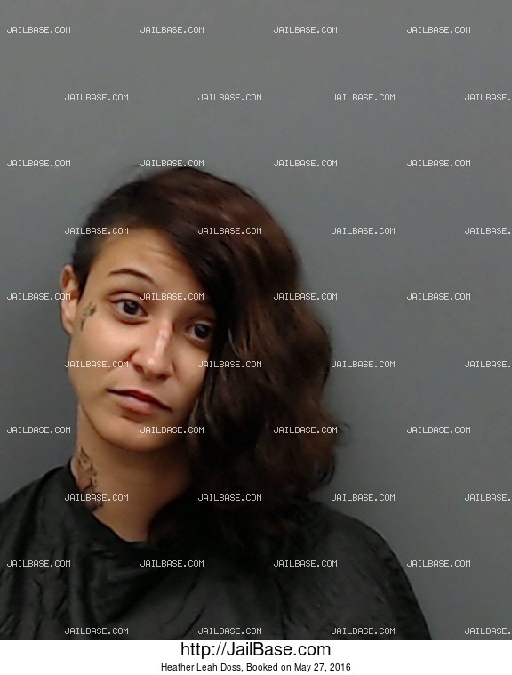 HEATHER LEAH DOSS | Booked on May 27, 2016 | JailBase