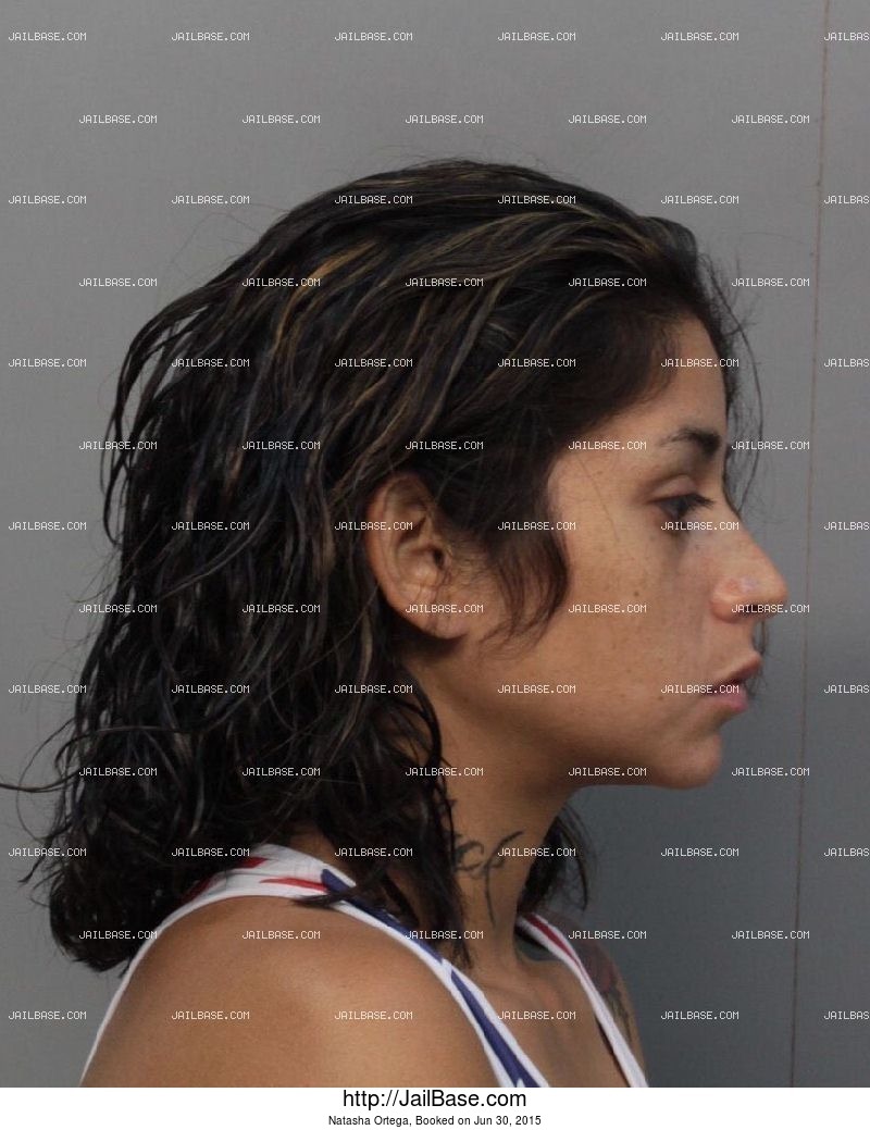 Natasha Ortega | Arrested on June 30, 2015 | JailBase