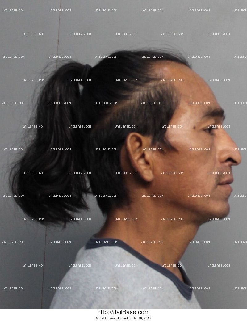 Angel Lucero Arrested on July 16, 2017 JailBase