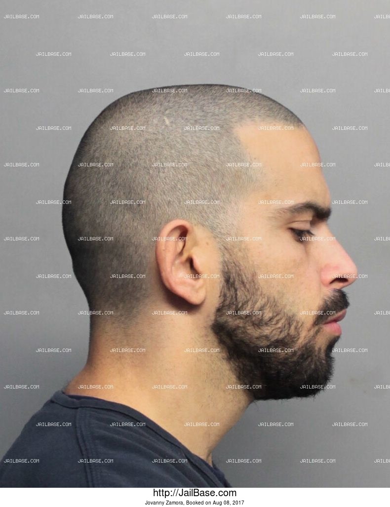 Jovanny Zamora Arrested on Aug. 08, 2017 JailBase