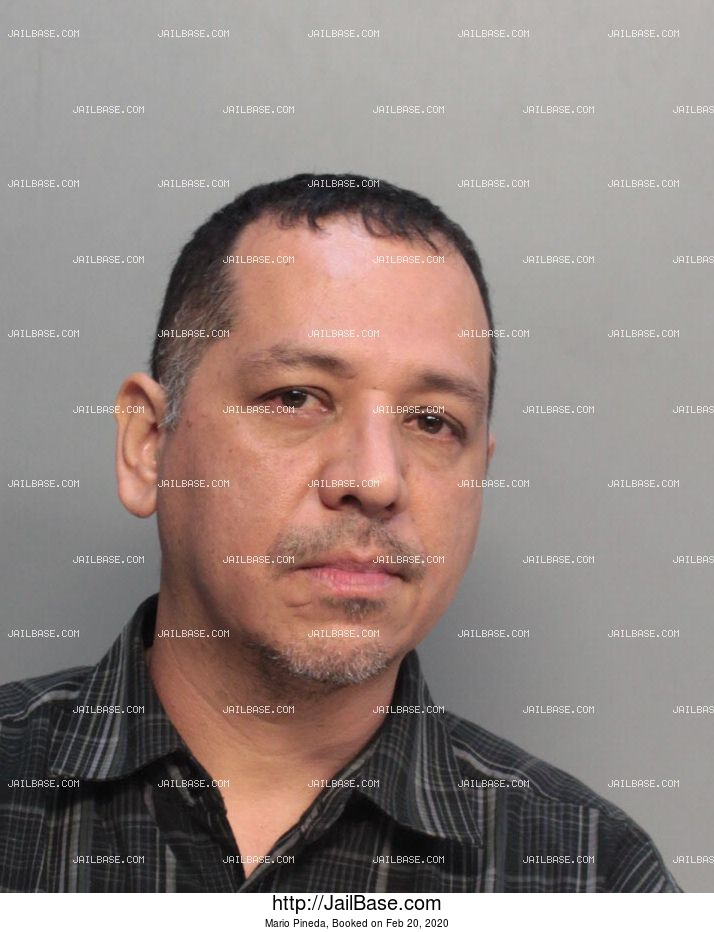 Mario Pineda | Arrested on Feb. 20, 2020 | JailBase