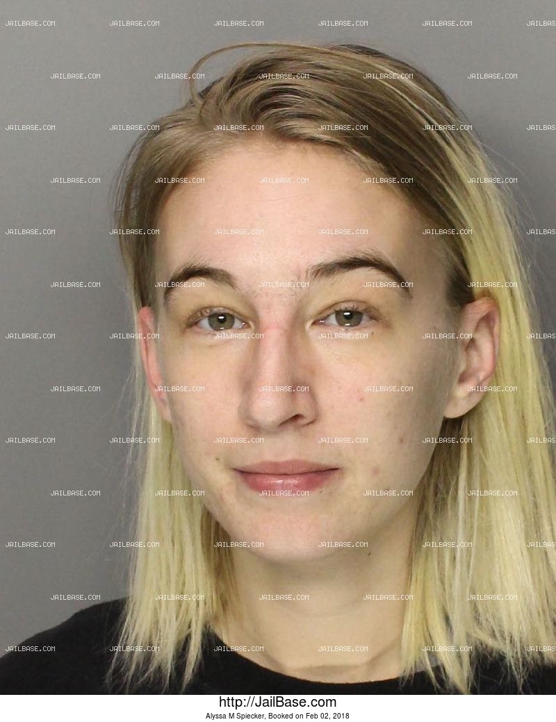 ALYSSA M SPIECKER | Arrested on Feb. 02, 2018 | JailBase