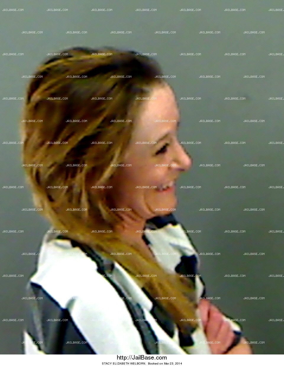 STACY ELIZABETH WELBORN Booked on March 23, 2014 JailBase