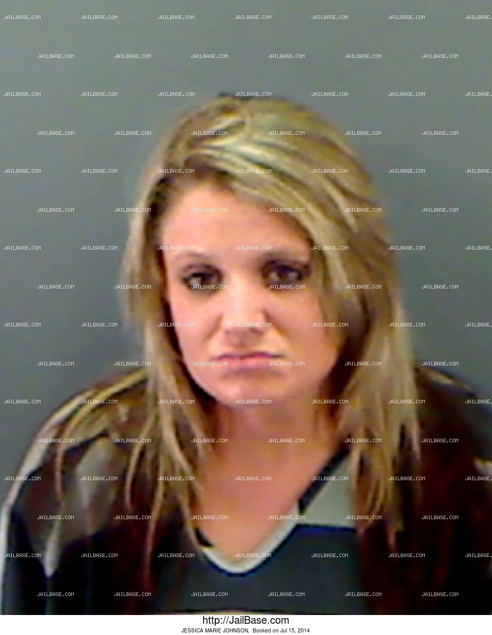 JESSICA MARIE JOHNSON Booked on July 15, 2014 JailBase