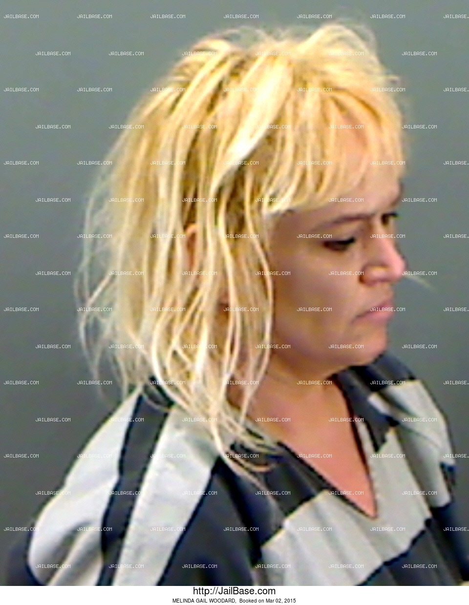 MELINDA GAIL WOODARD Booked on March 02, 2015 JailBase